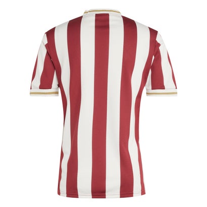 Player Version 1. FC Nuremberg Soccer Jersey 2025/26-125th Anniversary